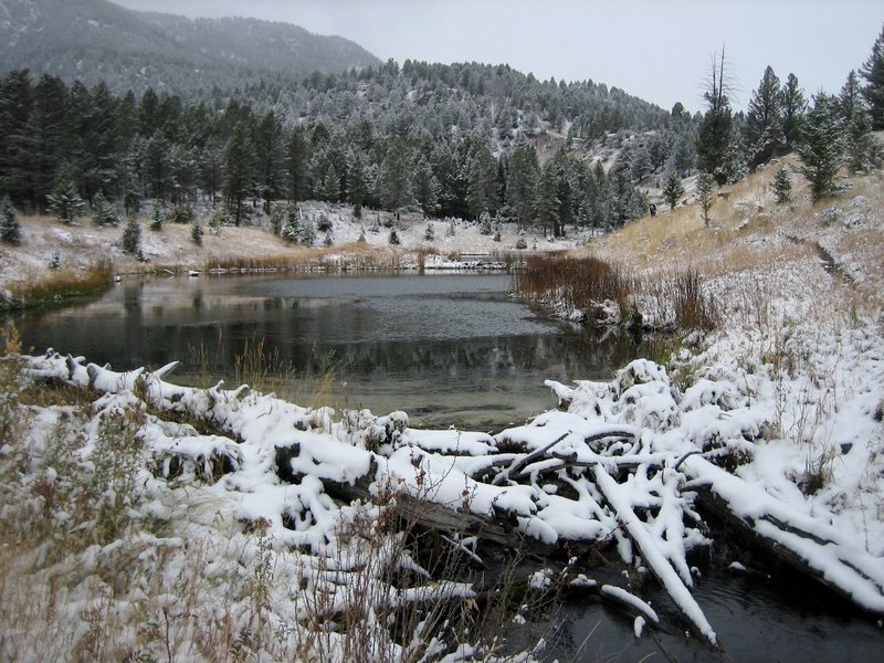 A beaver dam at the outlet of the last beaver lake.