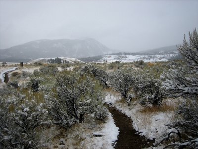 Big sage near the end of the hike. Mammoth Hot Springs and Bunsen Peak on the horizon.