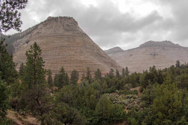 Checkerboard Mesa from viewpoint.