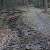 The creek follows the trail as it makes its way to Laurel Creek.