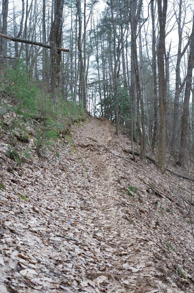 Approaching Crib Gap.