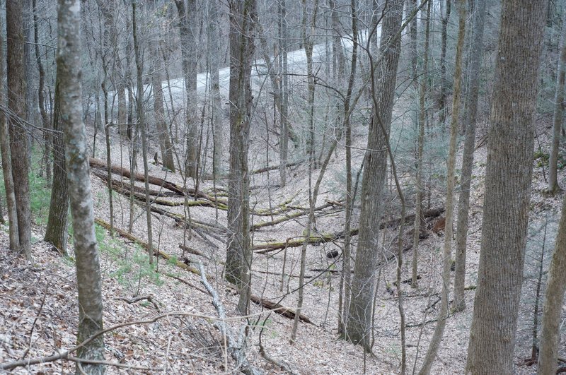 Looking back down toward Laurel Creek Road.