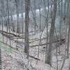 Looking back down toward Laurel Creek Road.