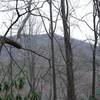 Obstructed views of Scott Mountain exist along the trail.