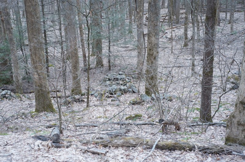 The stone piles off the trail are foundations from early settlers' homes. These stones are all that remain.