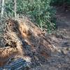 Downed trees and muddy trail are encountered throughout the trail. Make sure you wear the appropriate footwear for these conditions.