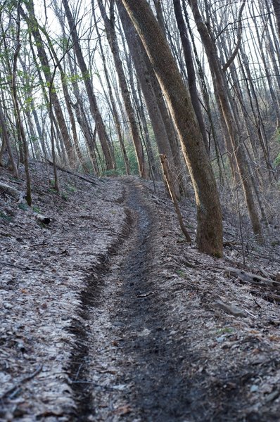 The trail is narrow and can be muddy in the fall and winter.