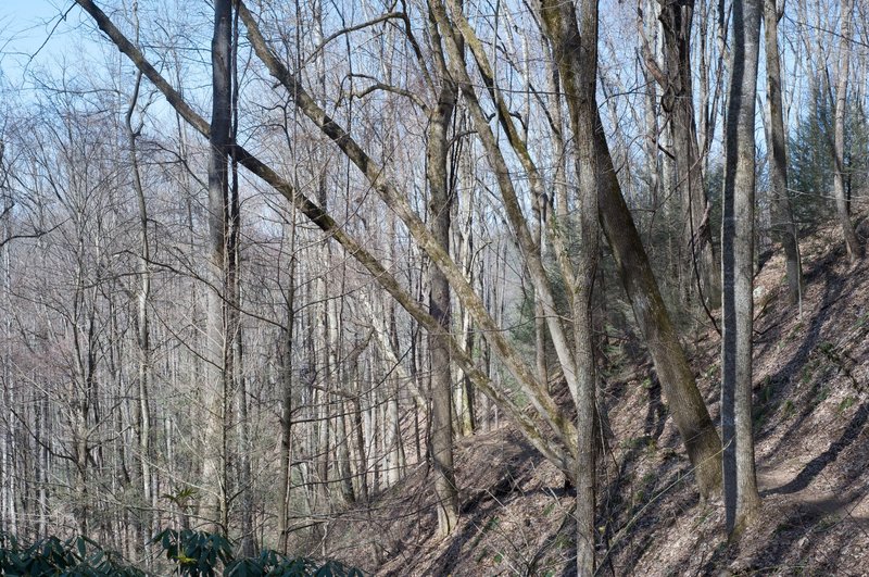 The trail winds along the ridges of Fodderstack Mountain.