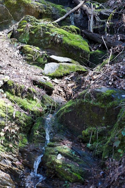 Small creek making it's way through mossy rocks.