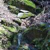 Small creek making it's way through mossy rocks.