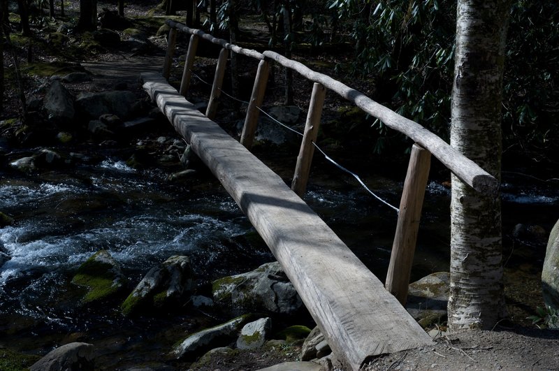 Log bridge over the West Prong.