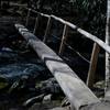 Log bridge over the West Prong.