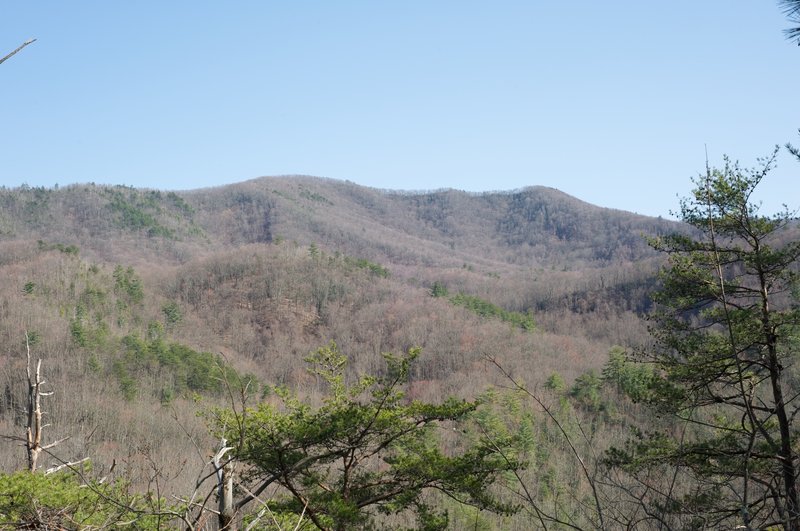 Looking up at the surrounding mountains through a gap in the trees.