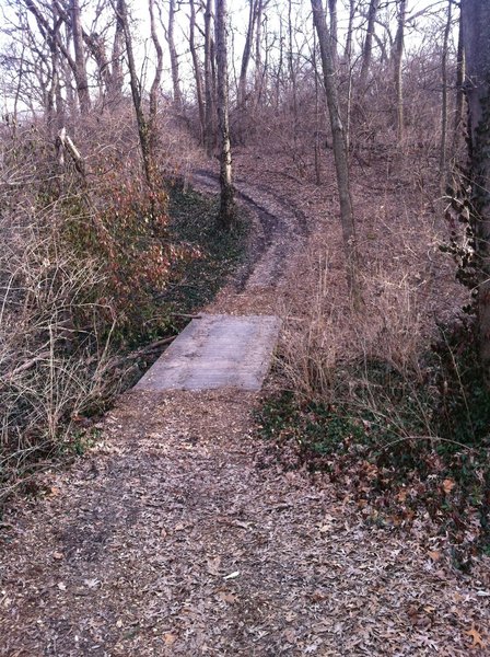 One of the bridges along the trail.