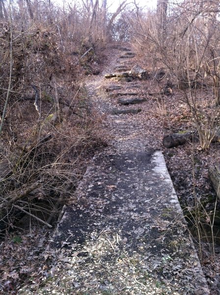 A bridge and some rock steps along the trail.