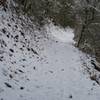 The trail as it climbs away from the trailhead.