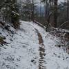 Chestnut Top Trail as it levels out and makes its way through the woods.