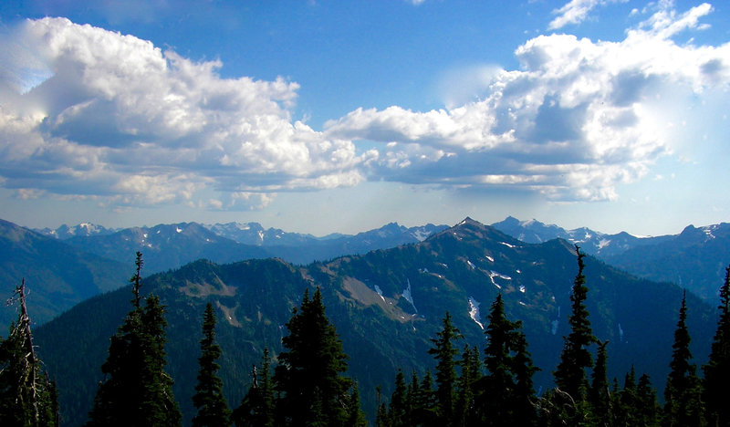 Looking to the Olympic Mountains from Dodger Point.