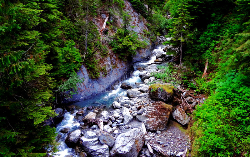 One of the many impressive creek crossings along the North Fork of the Quinault Trail.
