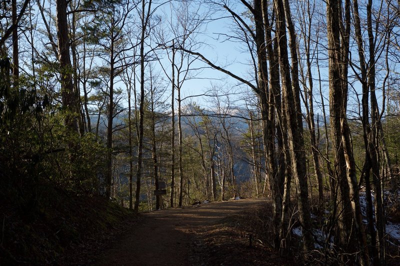 Bote Mountain Trail joins the West Prong Trail before it goes off to the right and climbs Bote Mountain.  Snow lines the crest of the Smokies in the background.