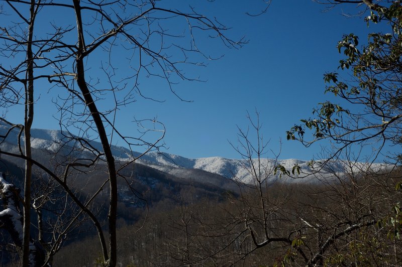 Views of Spence Field and the rest of the peaks covered in snow after a recent storm. Views like this are found on this section of the Bote Mountain Trail.