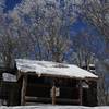 Snow covered shelter and trees set against a beautiful blue sky.