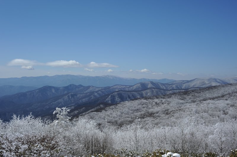 The North Carolina side of the Smokies from Spence Field.