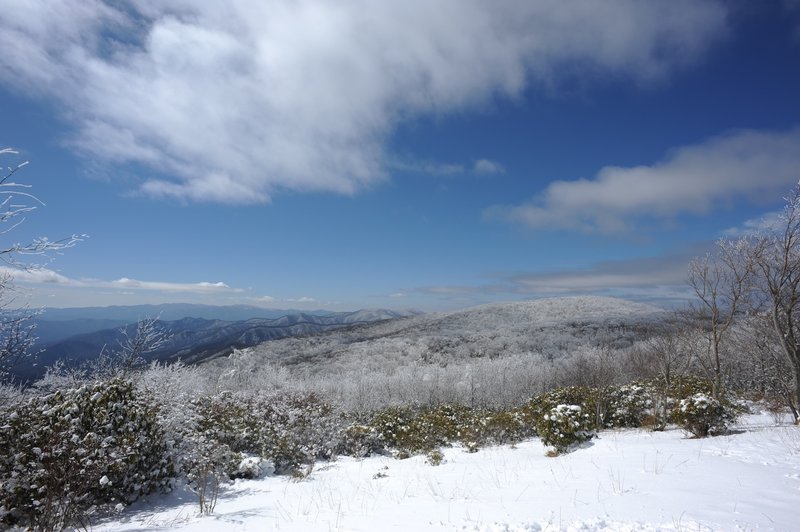 One of the fields at Spence Field, where great views of the mountains exist.