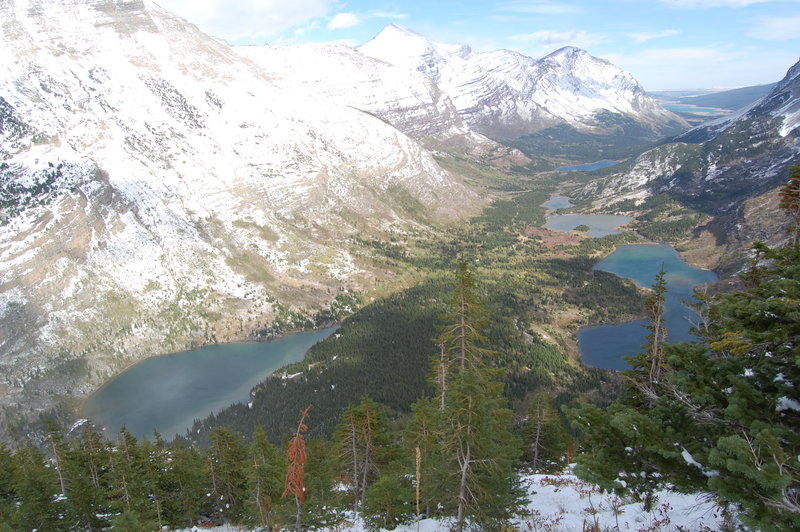 View from Swiftcurrent Pass Trail.