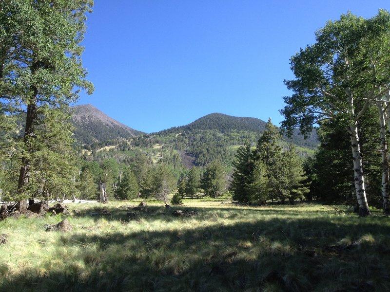 View of the peaks along the Kachina Trail.