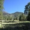 View of the peaks along the Kachina Trail.