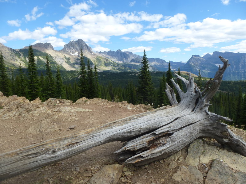 Looking at the Continental Divide from the trail from Granite Park Chalet on the way to the Loop.