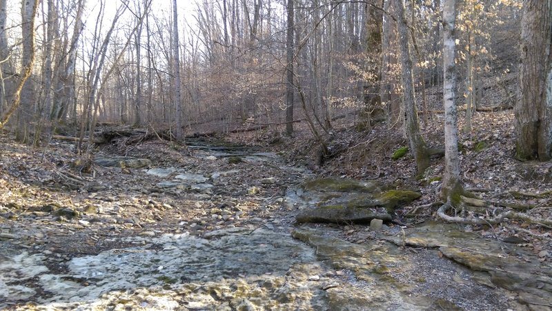 Creek by the Rock Run Trail.