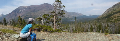 Aster Park Viewpoint - Rising Wolf Mt across the Two Medicine Valley.