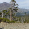 Aster Park Viewpoint - Rising Wolf Mt across the Two Medicine Valley.