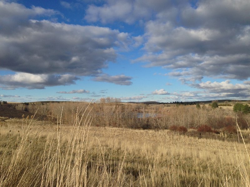 Far away view of the lake from the trail.