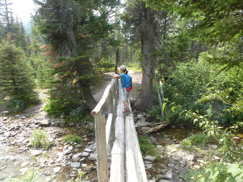 Crossing a stream on the Aster Park / Cobalt Lake Trail.