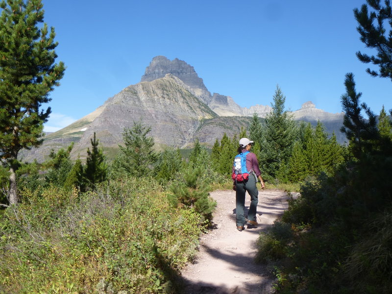 A view of Mount Wilbur from the Iceberg Lake / Ptarmigan Tunnel Trail.