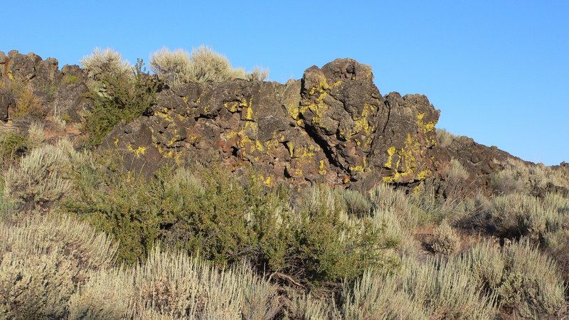 Lava rocks and lichen for days.