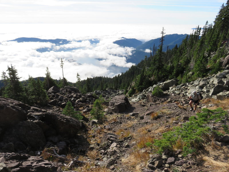 Through a rubble field on Mt. Ellinor trail.