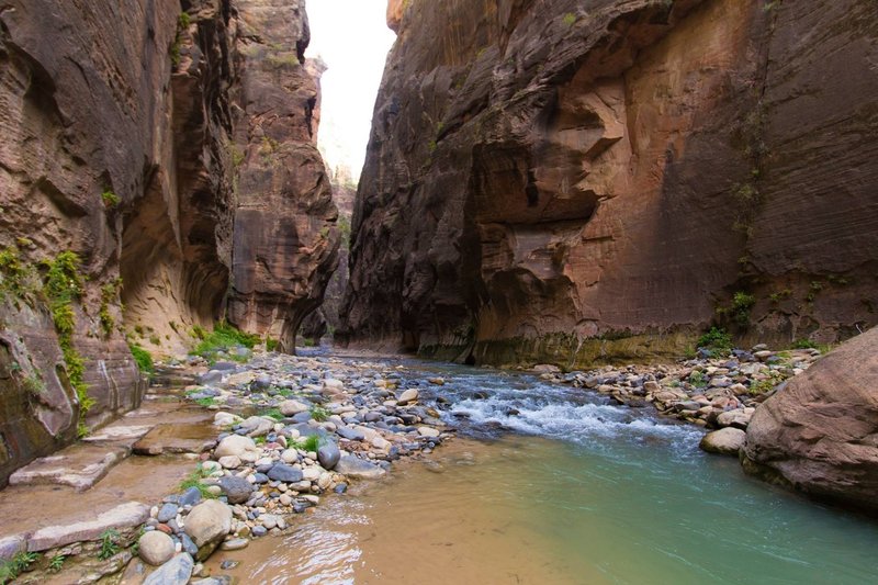 The Narrows, Zion National Park