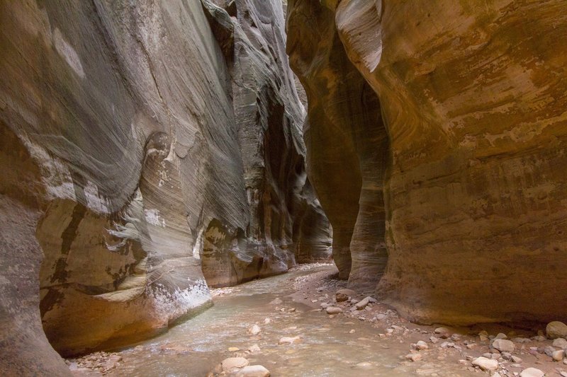 The Narrows, Zion National Park.