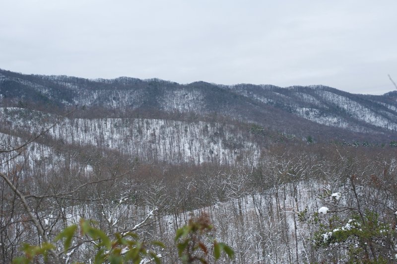 A view of the ridgeline from the trail.