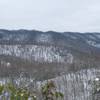 A view of the ridgeline from the trail.