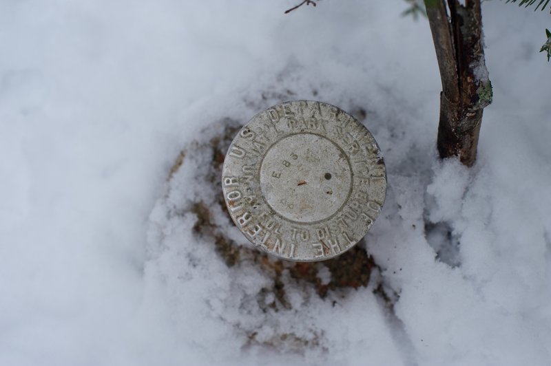 Another boundary marker as you make your way to Little Brier Gap from Wear Cove Gap.