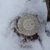 Another boundary marker as you make your way to Little Brier Gap from Wear Cove Gap.