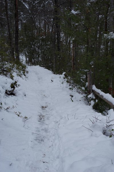 The trail working it's way through the snow down to Little Brier Gap.