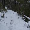 The trail working it's way through the snow down to Little Brier Gap.