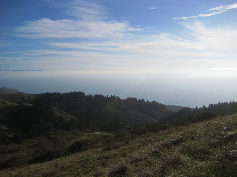 Best Picnic spot! Dip Sea Trail and Deer Park fireroad intersection.