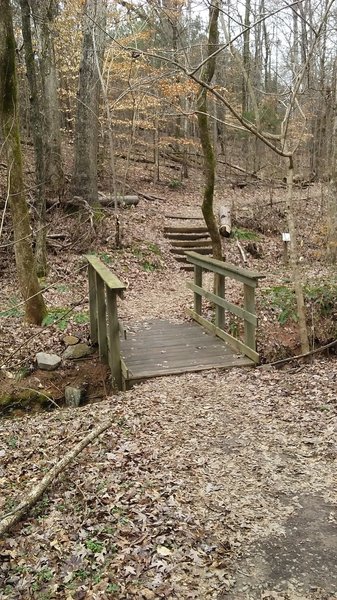 A small bridge on the Persimmon Trail.